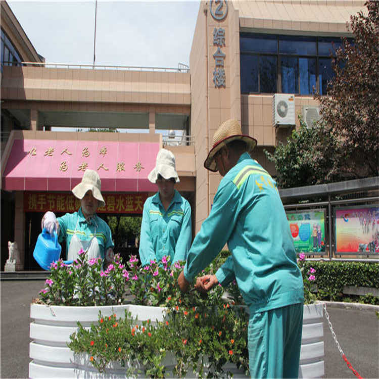 綠化養(yang)護 8