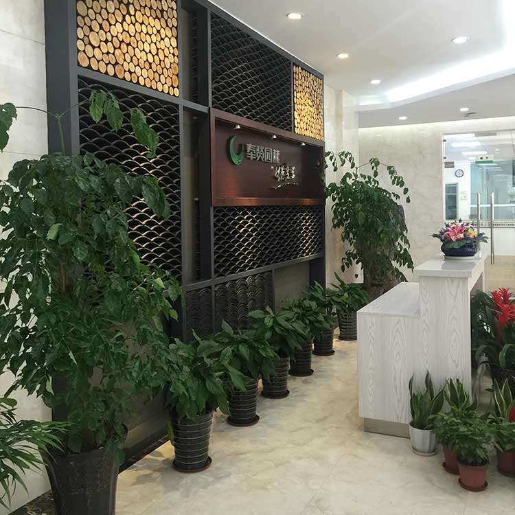 室內擺(bai)蘤 II