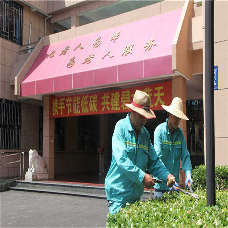 綠(lv)化(hua)養護(hu) 8