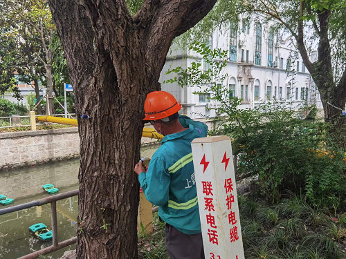 圖(tu)片(pian)3.png 圖(tu)片3.png