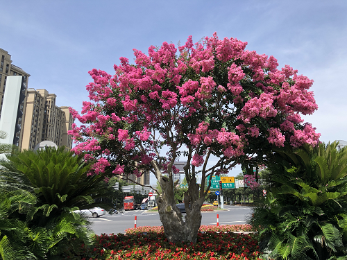 圖片(pian)1.png 圖(tu)片1.png