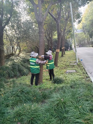 圖片(pian)1.jpg 圖片1.jpg