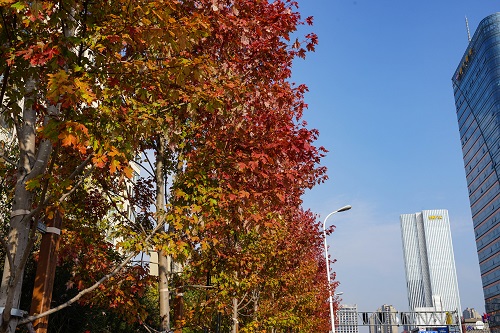 DSC06219.jpg DSC06219.jpg