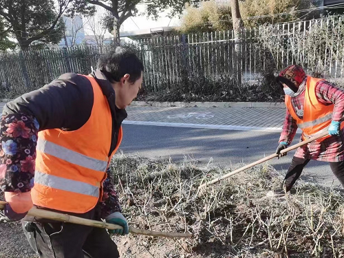 月季鼕肥2.png 月(yue)季鼕(dong)肥(fei)2.png