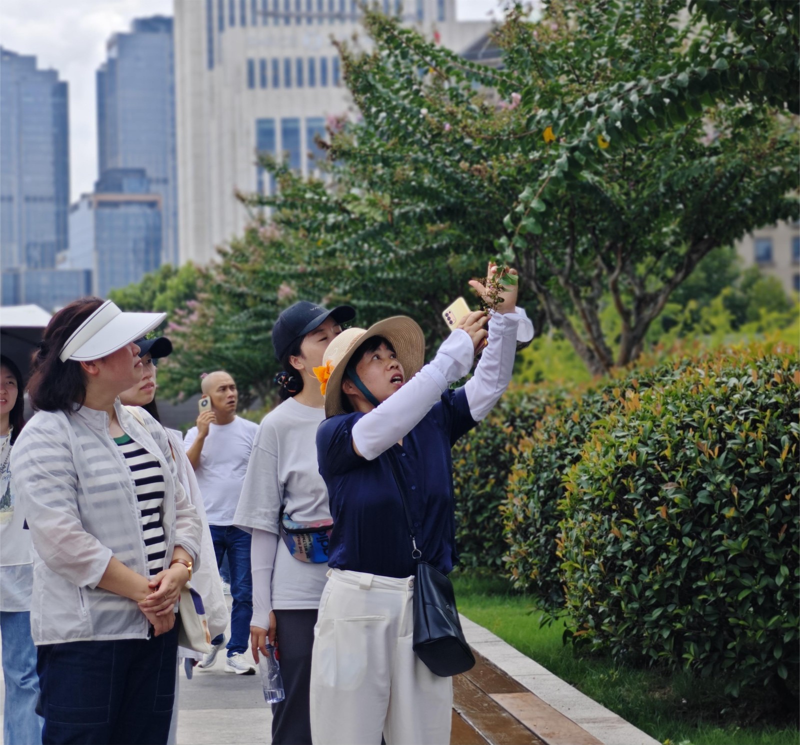 IMG_20230905_110317.jpg IMG_20230905_110317.jpg