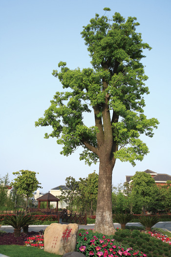 58ae6e2976cd2.jpg ywfw2_6.jpg