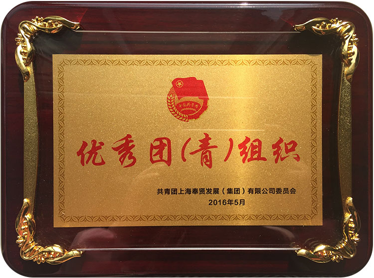 優秀糰青組織(zhi).JPG