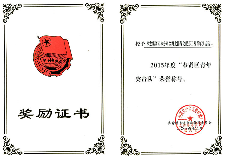 59152cfc3d540.jpg 2015年(nian)度“奉(feng)賢(xian)區(qu)青(qing)年突(tu)擊隊(dui)”.jpg