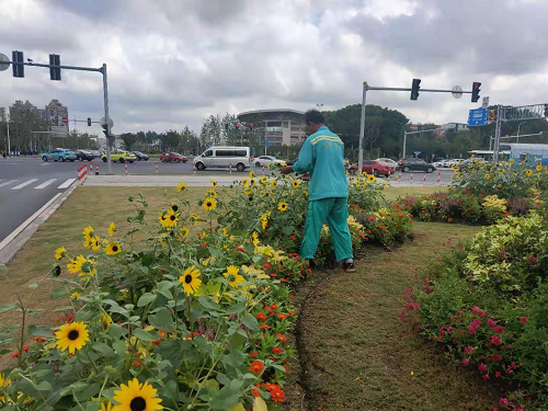 60ff6e7001a3f.png 圖(tu)片(pian)1.png