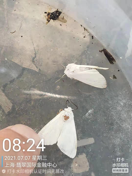 60ffaea44ce88.png 圖片(pian)1.png